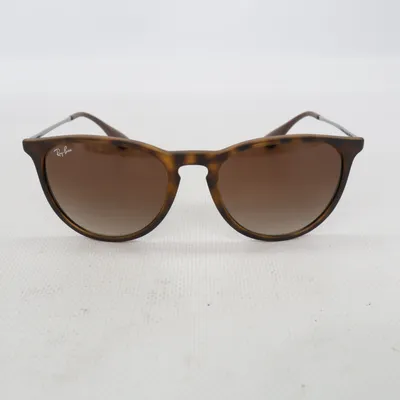 Lunettes de soleil (Erika) de Ray-Ban