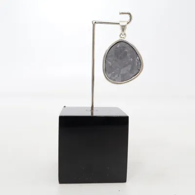 Hänge (Silverfärgad) Silver