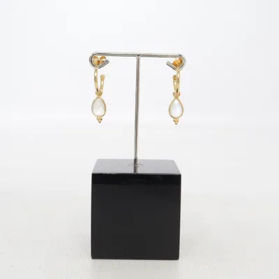 Oorbellen (Goud) Zilver