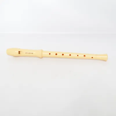 Blaasinstrument (Educator) van Equator