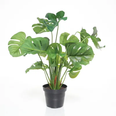 Kunstig plante (Grøn, Sort)