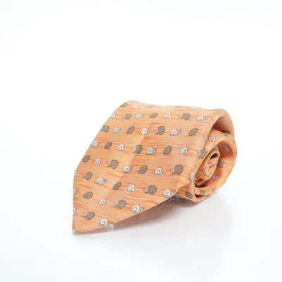Slips (Orange, Flerfärgad) från Hermès Silke
