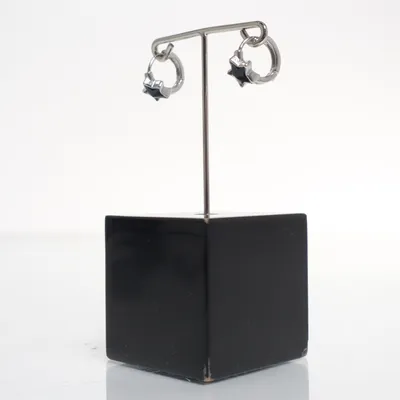 Oorbellen (Zilver, Blauw) Zilver
