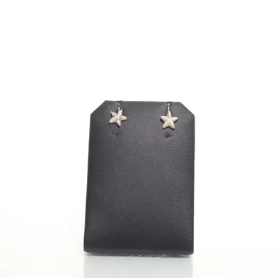 Oorbellen (Zilver) Zilver