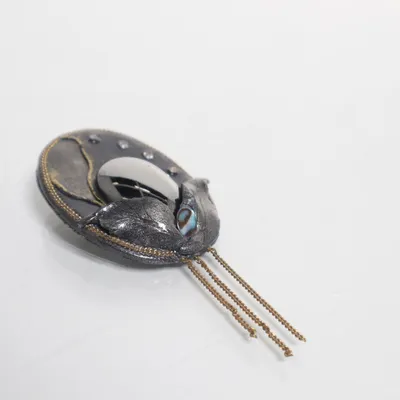 Broche (Zilver) Onbekend materiaal