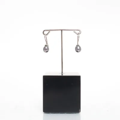 Earrings (Silver) Silver