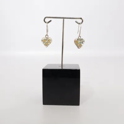 Earrings (Multicolored, Silver) Silver