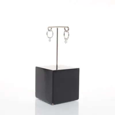 Oorbellen (Zilver) Zilver