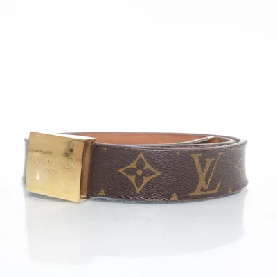 Riem (Bruin, Goud) van Louis Vuitton
