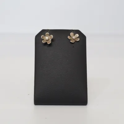 Boucles d'oreilles (Argent) Argent