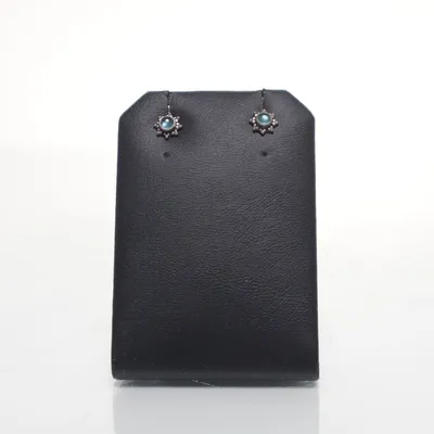 Örhängen (Silverfärgad, Turkos) Silver