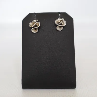 Boucles d'oreilles (Argent) Argent