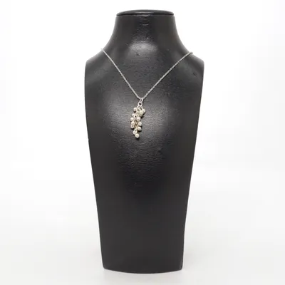 Necklace (Silver) Silver