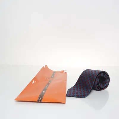 Slips (Blå, Flerfarvet) fra Hermès Silke