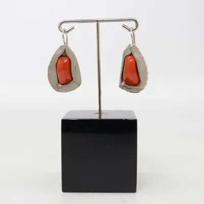 Oorbellen (Rood, Zilver) Zilver