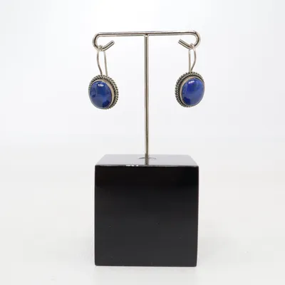 Earrings (Blue, Silver) Silver