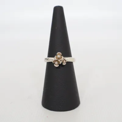 Ring (Silver) from Spinning Silver