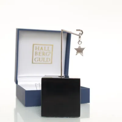 Hanger (Zilver) van Hallbergs Guld Zilver