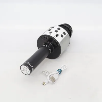 Microphone (Karaoke Microphone) from Party Fun Lights