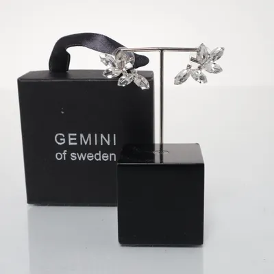 Örhängen (Silverfärgad) från Gemini Okänd metall