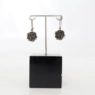 Oorbellen (Zilver) Zilver