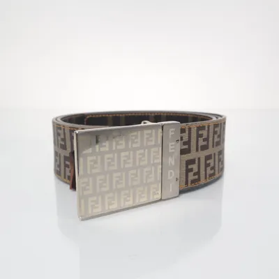 Bälte (Brun, Beige) från Fendi Skinn