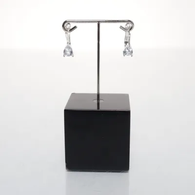 Örhängen (Silverfärgad) Silver