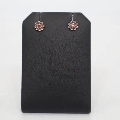 Boucles d'oreilles (Argent, Violet) Argent