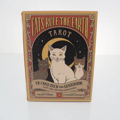 Tarot kort (Brun, Flerfärgad)