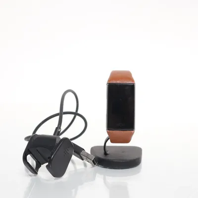 Activiteitentracker (Bruin, Zwart) van FitBit