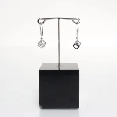 Earrings (Silver) Silver