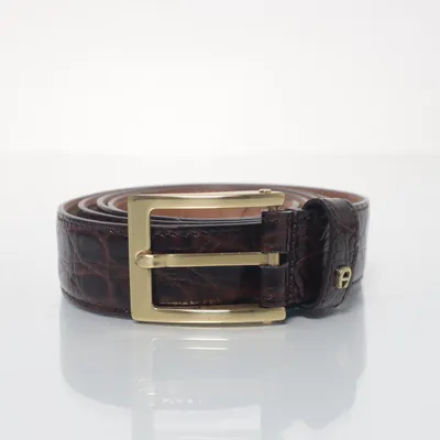 Riem (Bruin) van Aigner Leer