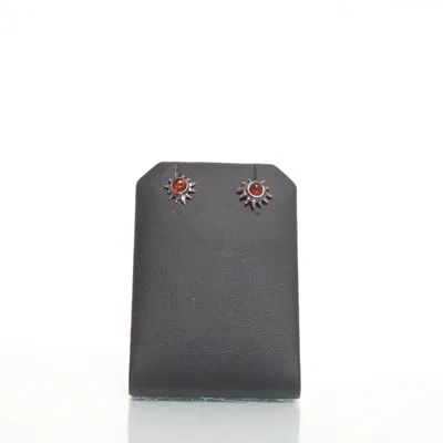 Örhängen (Silverfärgad, Orange) Silver