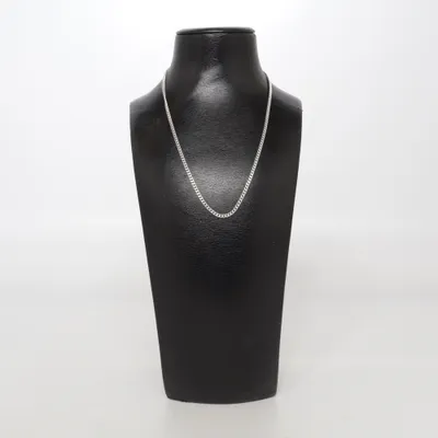 Necklace (Silver) Silver
