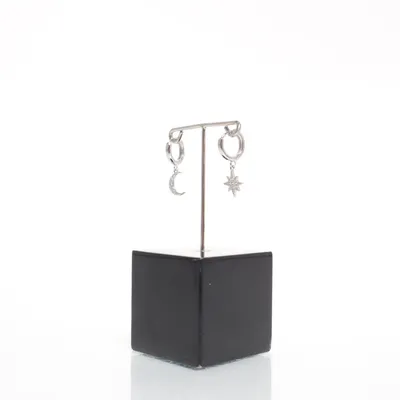 Oorbellen (Zilver) Zilver