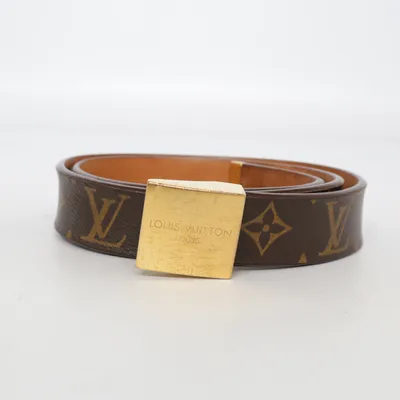 Belt (Brown) from Louis Vuitton