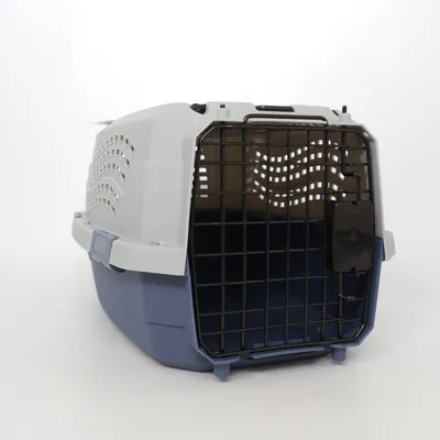 Cage de transport (Transportlåda tvådörrars toppmatad för katt, husdjur, hund, blå, 48,2 L x 32 B x 25,4 H cm, max 5 kg) de Amazon Basics