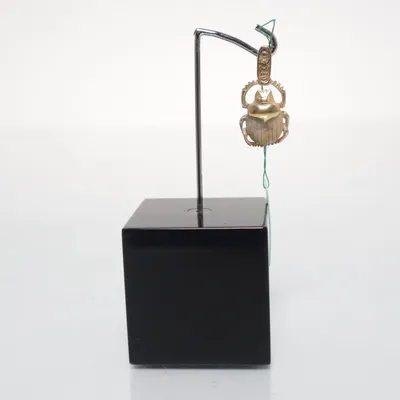 Hanger (Goud) Zilver