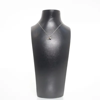 Ketting (Zilver) Zilver