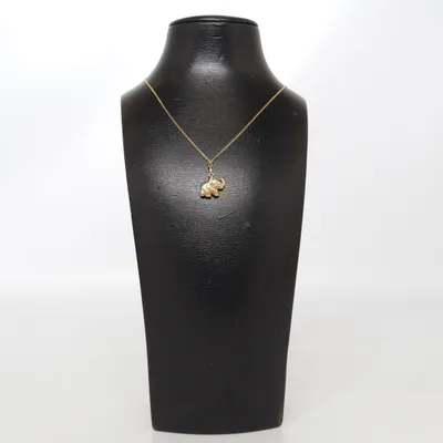 Necklace (Gold) Gold