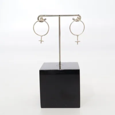 Earrings (Silver) Silver