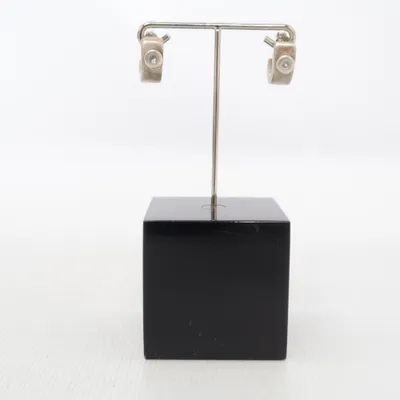 Earrings (Silver) Silver