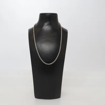 Necklace (Silver) Silver