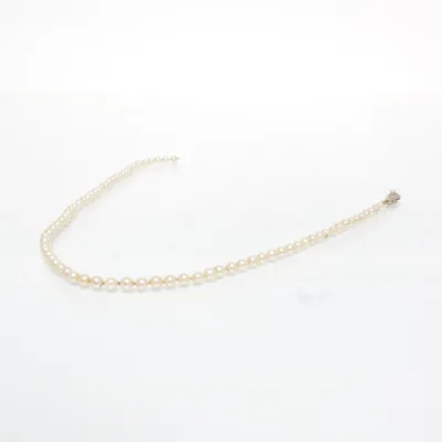 Ketting (Goud, Wit) Goud, Onbekend materiaal