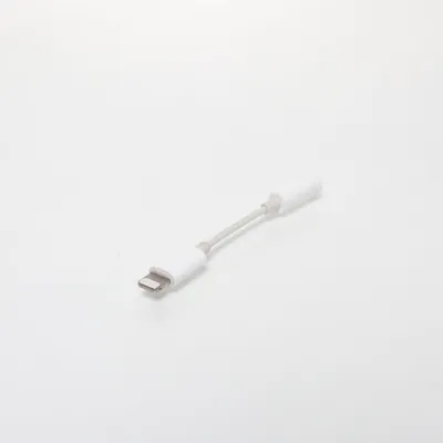 Adapter from Apple