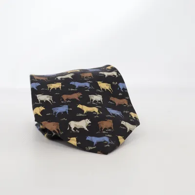 Cravate (Noir, Multicolore) de Loewe Soie