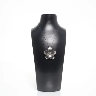 Ketting (Zilver) Zilver