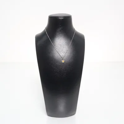 Ketting (Zilver) Zilver, Onbekend materiaal