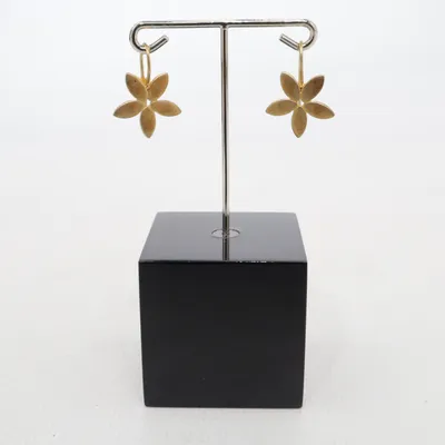 Oorbellen (Goud) Zilver