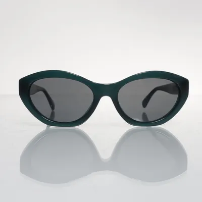 Solglasögon (EA 4172) från Emporio Armani
